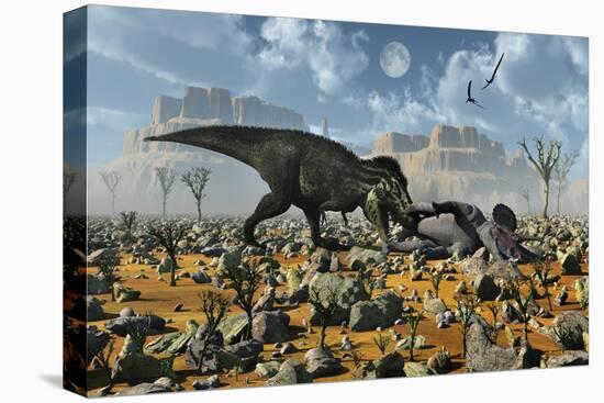 Stretched Canvas Print, , large