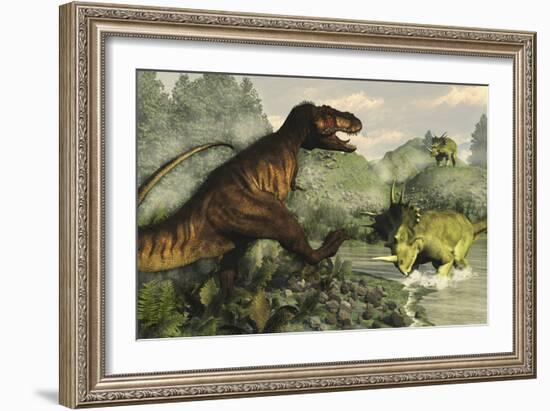 Tyrannosaurus Rex Fighting Against Styracosaurus Dinosaurs-Stocktrek Images-Framed Art Print