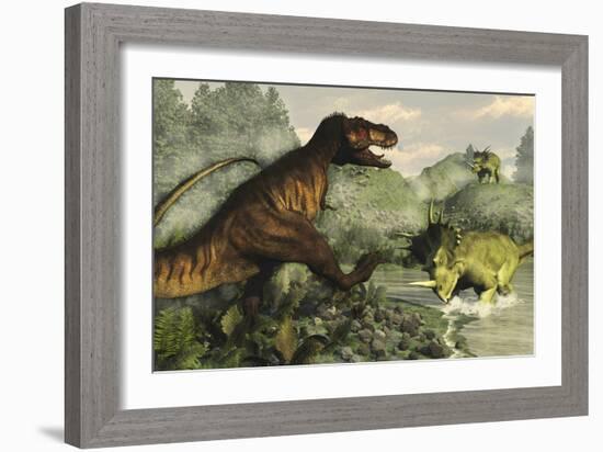 Tyrannosaurus Rex Fighting Against Styracosaurus Dinosaurs-Stocktrek Images-Framed Art Print