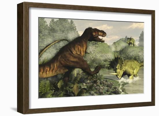 Tyrannosaurus Rex Fighting Against Styracosaurus Dinosaurs-Stocktrek Images-Framed Art Print