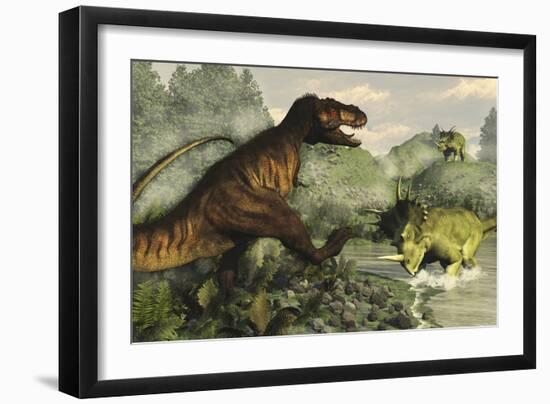 Tyrannosaurus Rex Fighting Against Styracosaurus Dinosaurs-Stocktrek Images-Framed Art Print