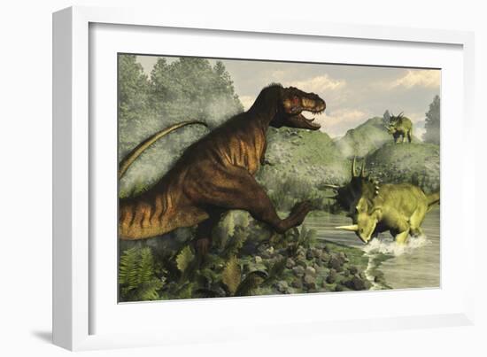 Tyrannosaurus Rex Fighting Against Styracosaurus Dinosaurs-Stocktrek Images-Framed Art Print