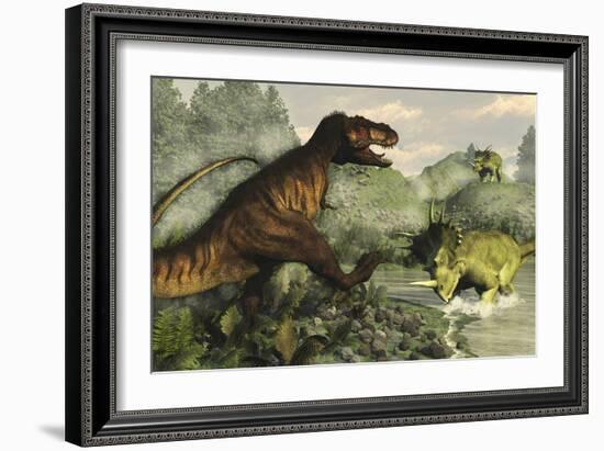 Tyrannosaurus Rex Fighting Against Styracosaurus Dinosaurs-Stocktrek Images-Framed Art Print