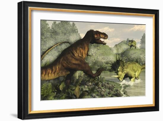 Tyrannosaurus Rex Fighting Against Styracosaurus Dinosaurs-Stocktrek Images-Framed Art Print