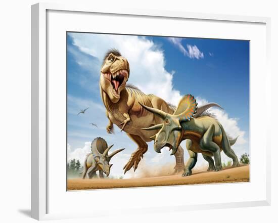 Tyrannosaurus Rex Fighting with Two Triceratops-null-Framed Art Print