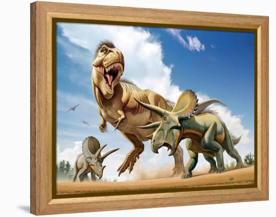 Tyrannosaurus Rex Fighting with Two Triceratops-null-Framed Stretched Canvas