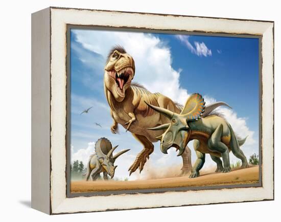 Tyrannosaurus Rex Fighting with Two Triceratops-null-Framed Stretched Canvas