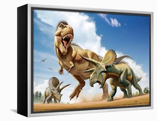 Tyrannosaurus Rex Fighting with Two Triceratops-null-Framed Stretched Canvas