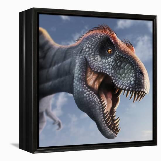 Tyrannosaurus Rex Head-null-Framed Premier Image Canvas