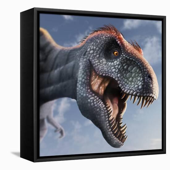 Tyrannosaurus Rex Head-null-Framed Premier Image Canvas