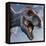 Tyrannosaurus Rex Head-null-Framed Premier Image Canvas