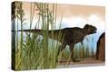 Stretched Canvas Print