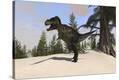 Stretched Canvas Print