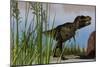 Tyrannosaurus Rex Hunting for its Next Meal-null-Mounted Art Print