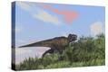 Stretched Canvas Print
