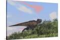 Stretched Canvas Print