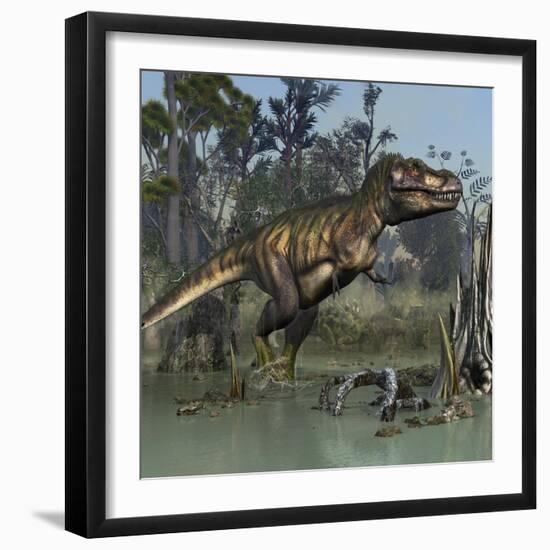 Tyrannosaurus Rex Hunting in Prehistoric Wetlands-Stocktrek Images-Framed Premium Giclee Print