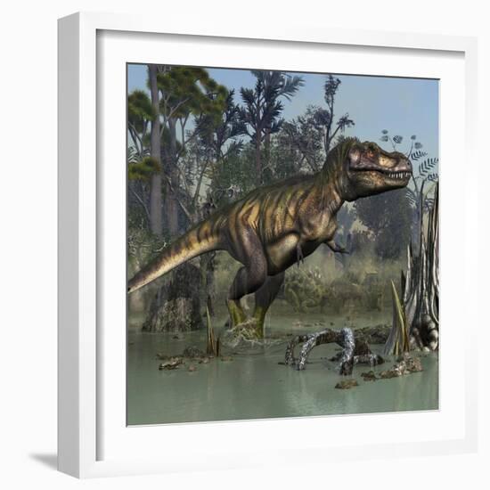 Tyrannosaurus Rex Hunting in Prehistoric Wetlands-Stocktrek Images-Framed Premium Giclee Print