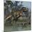 Tyrannosaurus Rex Hunting in Prehistoric Wetlands-Stocktrek Images-Mounted Art Print