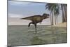 Tyrannosaurus Rex Hunting in Shallow Water-null-Mounted Art Print