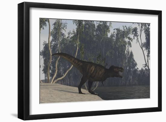 Tyrannosaurus Rex Hunting on the Edge of Shoreline-null-Framed Art Print