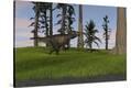 Stretched Canvas Print
