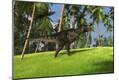 Premium Giclee Print