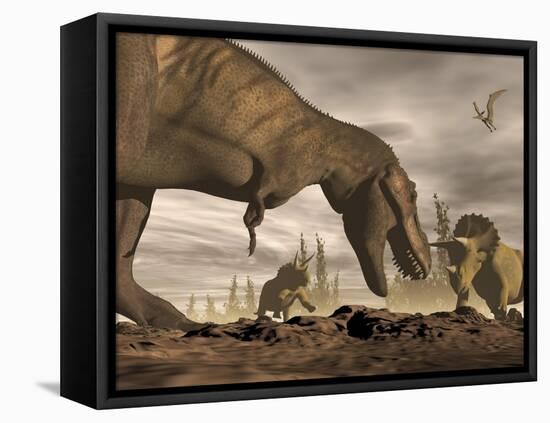 Tyrannosaurus Rex Roaring at Two Triceratops on Rocky Terrain-null-Framed Stretched Canvas