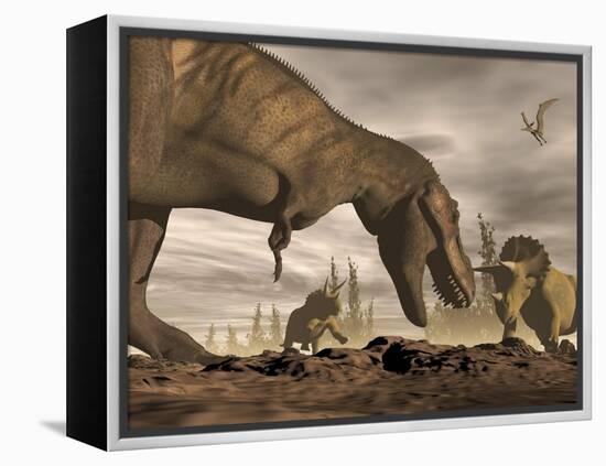 Tyrannosaurus Rex Roaring at Two Triceratops on Rocky Terrain-null-Framed Stretched Canvas