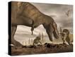 Stretched Canvas Print
