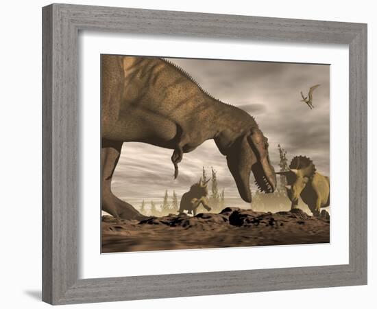 Tyrannosaurus Rex Roaring at Two Triceratops on Rocky Terrain-null-Framed Art Print