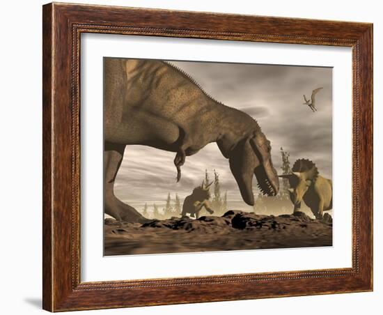 Tyrannosaurus Rex Roaring at Two Triceratops on Rocky Terrain-null-Framed Art Print