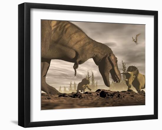 Tyrannosaurus Rex Roaring at Two Triceratops on Rocky Terrain-null-Framed Art Print