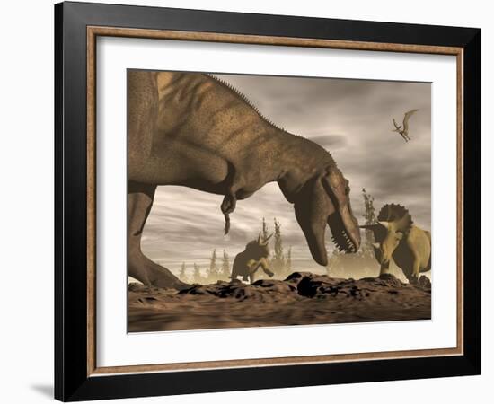 Tyrannosaurus Rex Roaring at Two Triceratops on Rocky Terrain-null-Framed Art Print