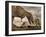 Tyrannosaurus Rex Roaring at Two Triceratops on Rocky Terrain-null-Framed Art Print