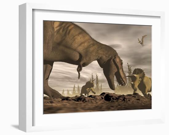 Tyrannosaurus Rex Roaring at Two Triceratops on Rocky Terrain-null-Framed Art Print