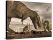 Stretched Canvas Print