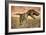 Tyrannosaurus Rex Roaring-Stocktrek Images-Framed Art Print