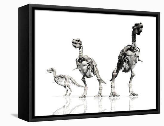 Tyrannosaurus Rex Skeletons, Artwork-Victor Habbick-Framed Premier Image Canvas