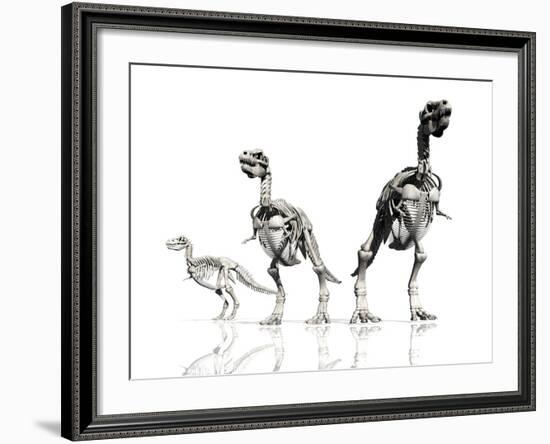 Tyrannosaurus Rex Skeletons, Artwork-Victor Habbick-Framed Photographic Print