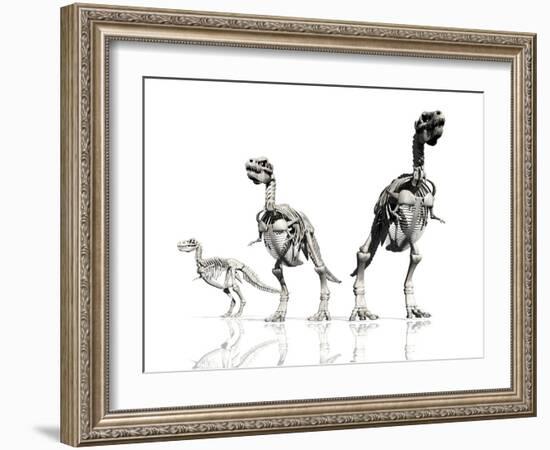 Tyrannosaurus Rex Skeletons, Artwork-Victor Habbick-Framed Photographic Print
