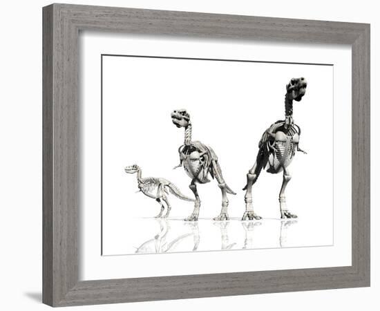 Tyrannosaurus Rex Skeletons, Artwork-Victor Habbick-Framed Photographic Print