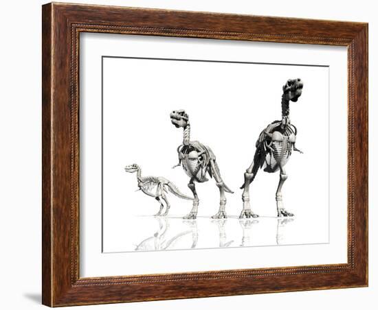 Tyrannosaurus Rex Skeletons, Artwork-Victor Habbick-Framed Photographic Print