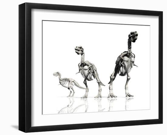 Tyrannosaurus Rex Skeletons, Artwork-Victor Habbick-Framed Photographic Print