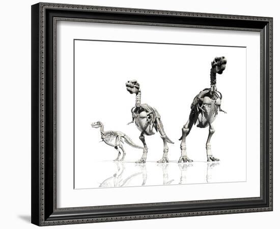 Tyrannosaurus Rex Skeletons, Artwork-Victor Habbick-Framed Photographic Print