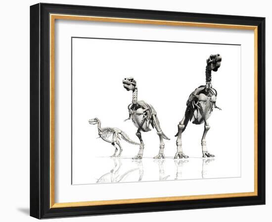 Tyrannosaurus Rex Skeletons, Artwork-Victor Habbick-Framed Photographic Print