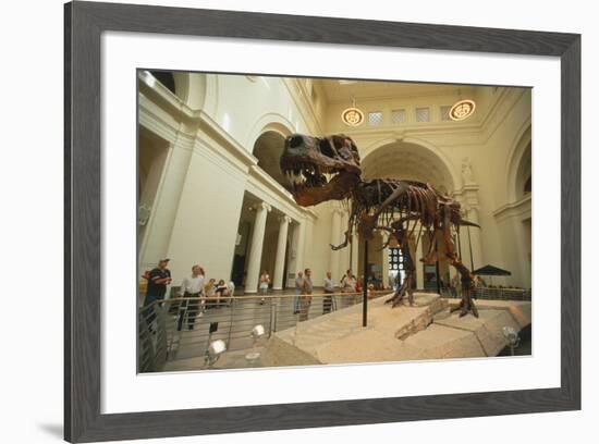 Tyrannosaurus Rex (Sue), Field Museum in Chicago, Illinois, USA-null-Framed Premium Giclee Print