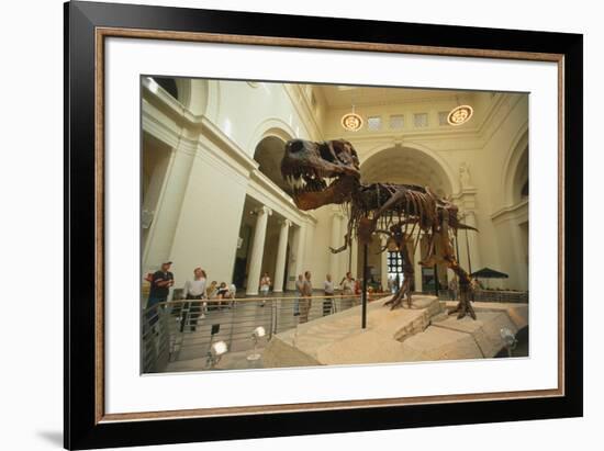 Tyrannosaurus Rex (Sue), Field Museum in Chicago, Illinois, USA-null-Framed Premium Giclee Print