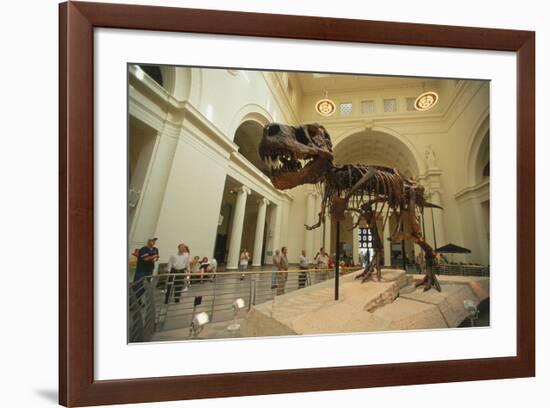 Tyrannosaurus Rex (Sue), Field Museum in Chicago, Illinois, USA-null-Framed Premium Giclee Print