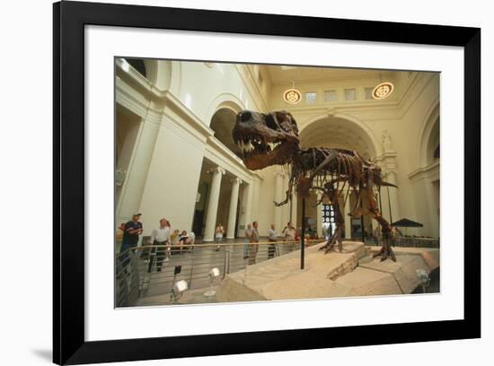 Tyrannosaurus Rex (Sue), Field Museum in Chicago, Illinois, USA-null-Framed Premium Giclee Print